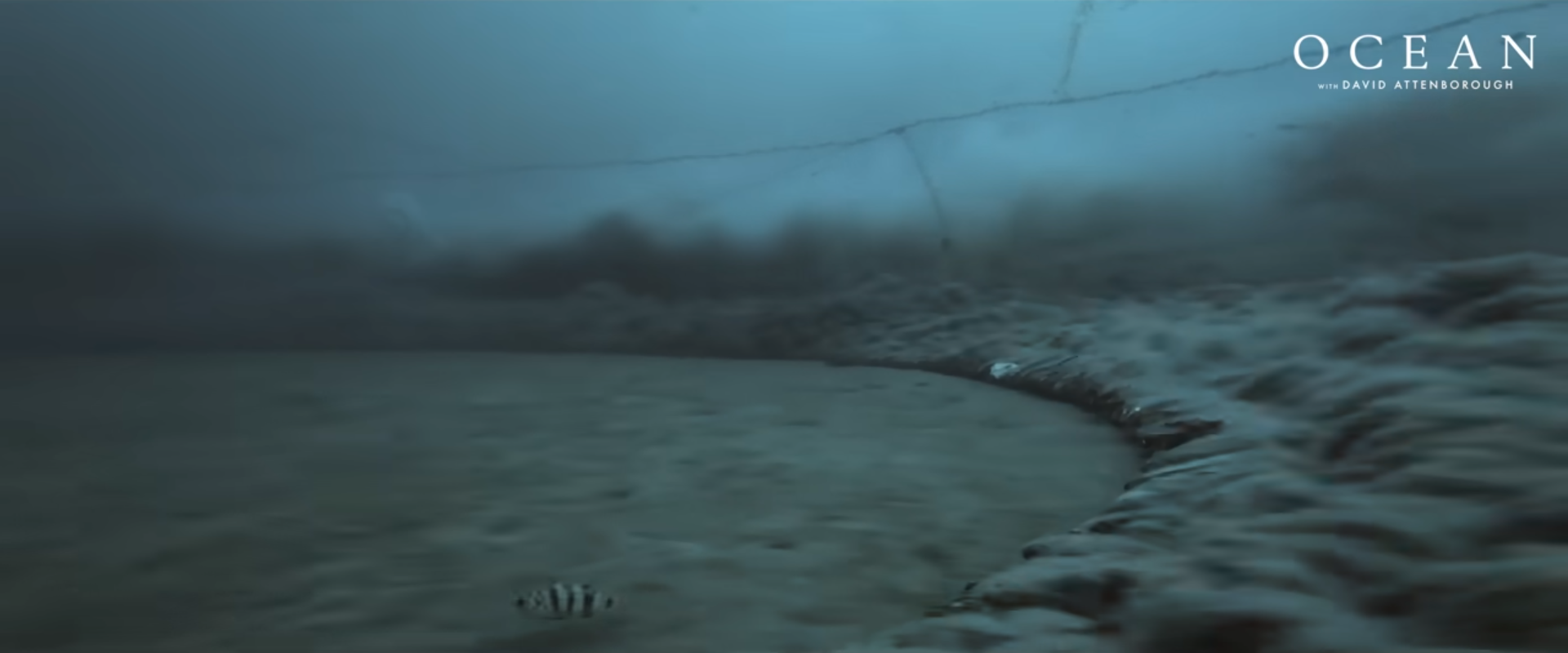 Still frame from David Attenborough's Ocean (2025), depicting an industrial
bottom trawler decimating the seafloor off the channel coast of southern
England "Still frame from David Attenborough's Ocean (2025), depicting an industrial
bottom trawler decimating the seafloor off the channel coast of southern
England"